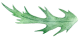 thistleleafsmall